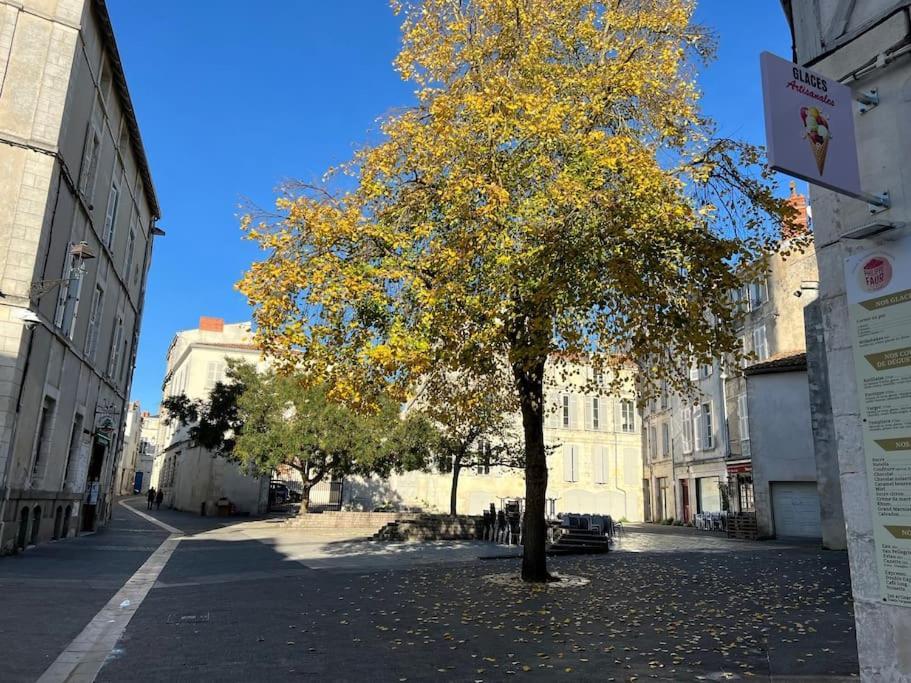 Apartament Le Logis Des Templiers Vieux Port La Rochelle  Zewnętrze zdjęcie